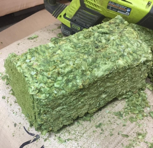 sample chinook brewers cut