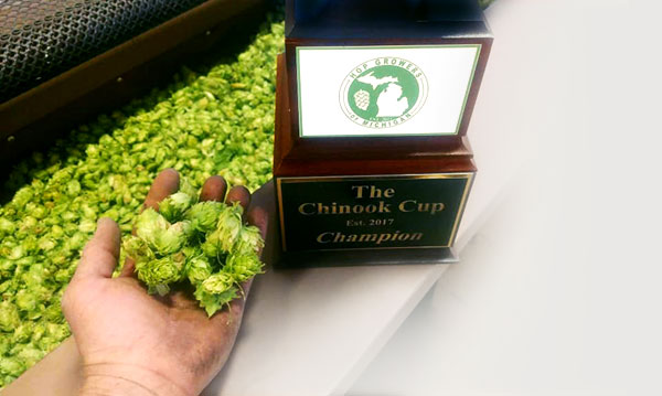 michigan hop growers chinook cup trophy in front of hop production line with a hand full of michigan hops