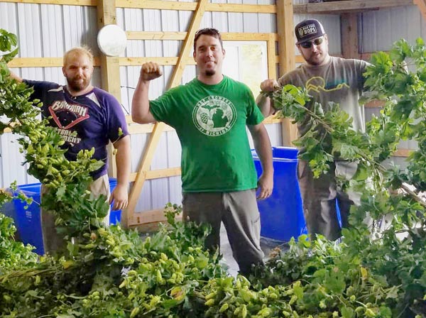 michigan hop growers with hop plants in barn