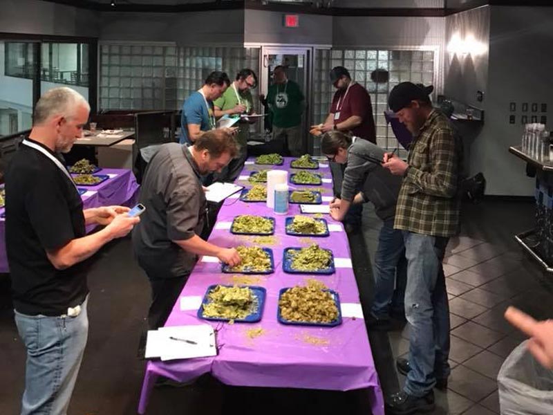 2018 chinook cup judging