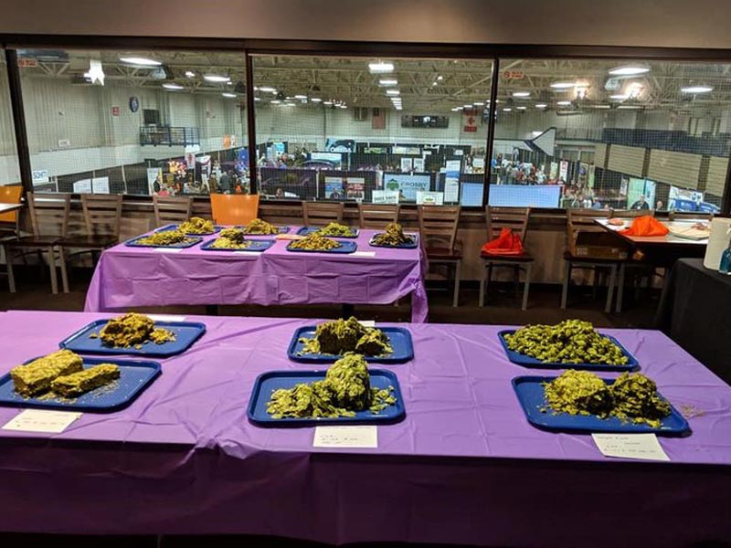 samples of hops at the 2018 chinook cup competition