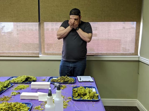 2019 chinook cup judge sampling hop aroma