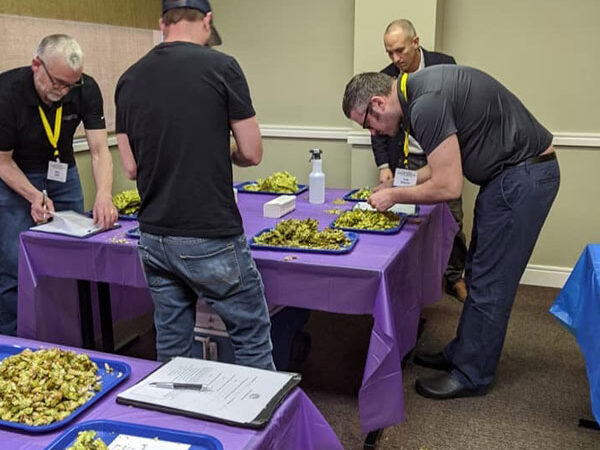 2019 chinook cup judging