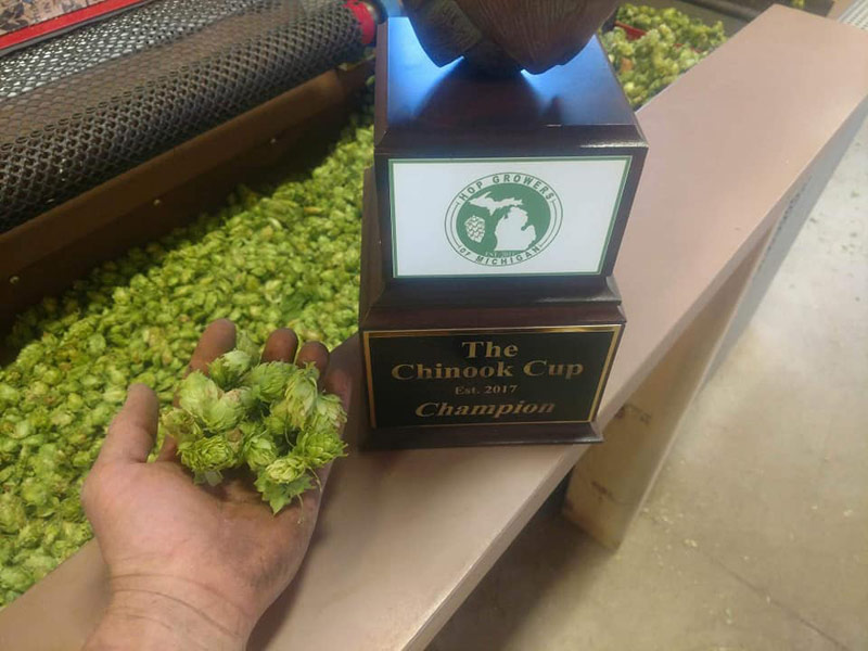 2019 chinook cup with handful of michigan hops