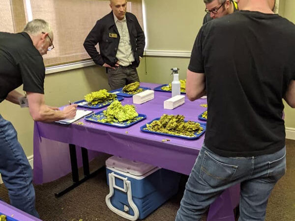 2019 chinook cup judges with varieties of michigan hops