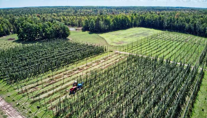 alexander farms aerial view