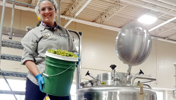 Elizabeth adding hops at Bell's Brewery