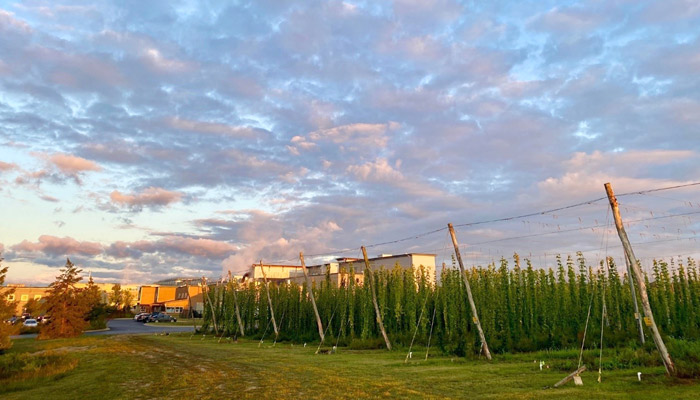 Bell's Brewery side yard