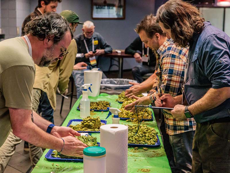 2024 chinook cup judging