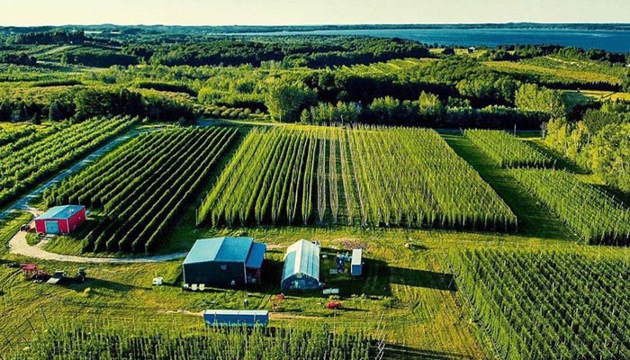 hop alliance hop farm aerial