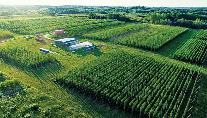 hop alliance aerial view hops