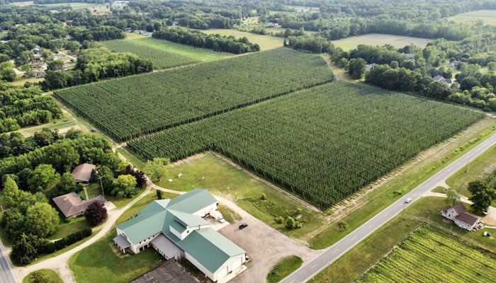 Overview of Hop Head Farms