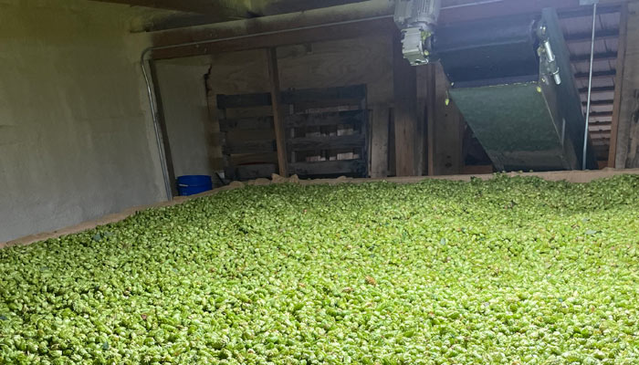 Hop dryer at Taylor Hops